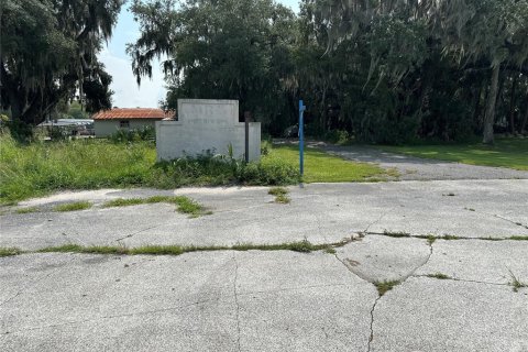 Terreno en venta en Eustis, Florida № 1374006 - foto 1