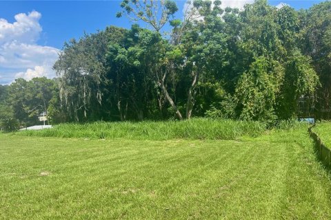 Terrain à vendre à Leesburg, Floride № 1374058 - photo 6