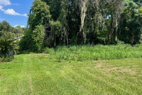 Terreno en venta en Leesburg, Florida № 1374058 - foto 5