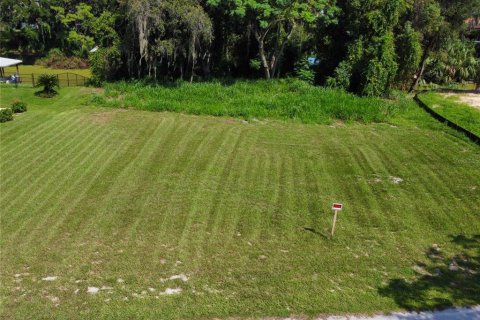 Terreno en venta en Leesburg, Florida № 1374058 - foto 2