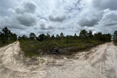 Terrain à vendre à Punta Gorda, Floride № 639115 - photo 18