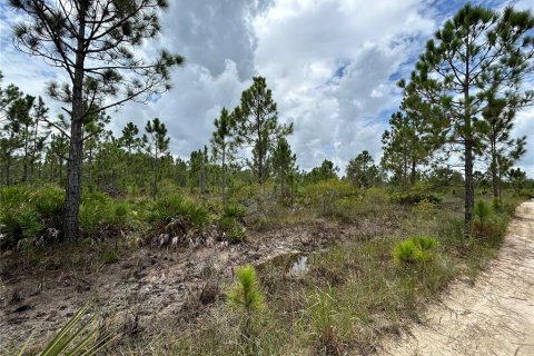 Terrain à vendre à Punta Gorda, Floride № 639115 - photo 23