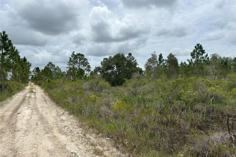 Terrain à vendre à Punta Gorda, Floride № 639115 - photo 17