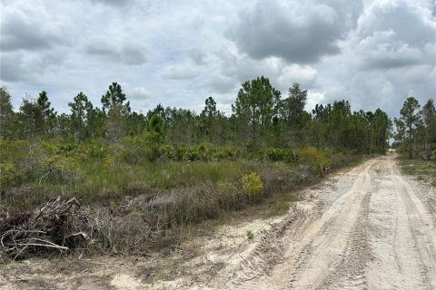 Terrain à vendre à Punta Gorda, Floride № 639115 - photo 19