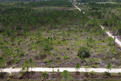 Terrain à vendre à Punta Gorda, Floride № 639115 - photo 7