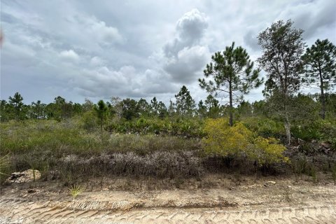 Terrain à vendre à Punta Gorda, Floride № 639115 - photo 20