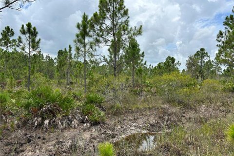 Terrain à vendre à Punta Gorda, Floride № 639115 - photo 22