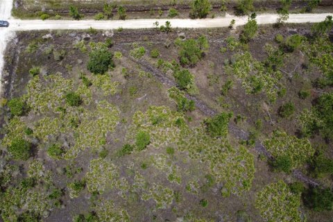 Terrain à vendre à Punta Gorda, Floride № 639115 - photo 10