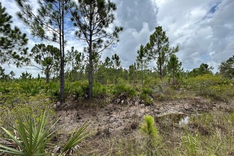 Land in Punta Gorda, Florida № 639115 - photo 24