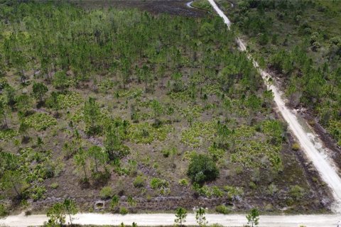 Terrain à vendre à Punta Gorda, Floride № 639115 - photo 8