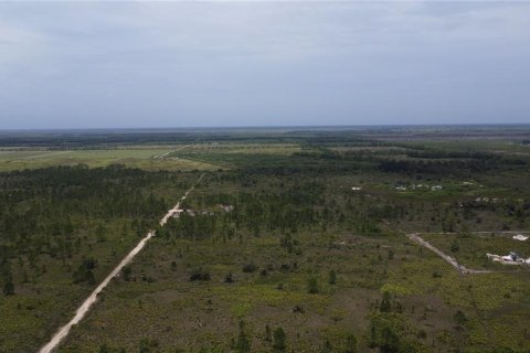 Terrain à vendre à Punta Gorda, Floride № 639115 - photo 16