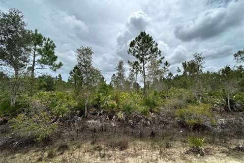 Terrain à vendre à Punta Gorda, Floride № 639115 - photo 21