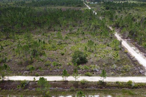 Terrain à vendre à Punta Gorda, Floride № 639115 - photo 6