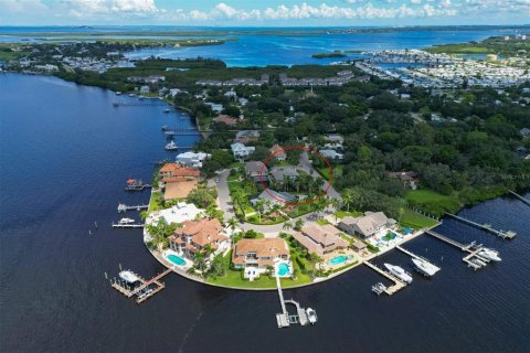 Casa en venta en Palmetto, Florida, 3 dormitorios, 315.03 m2 № 1350466 - foto 6