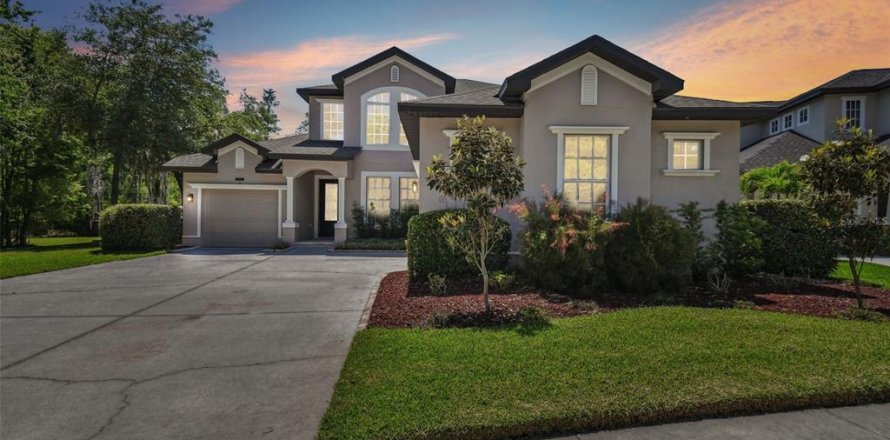 Casa en Land O' Lakes, Florida 5 dormitorios, 272.48 m2 № 1145163