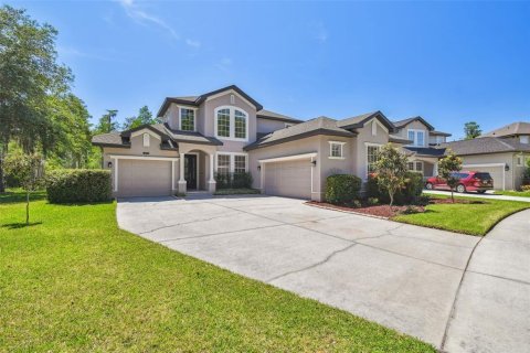 House in Land O' Lakes, Florida 5 bedrooms, 272.48 sq.m. № 1145163 - photo 3