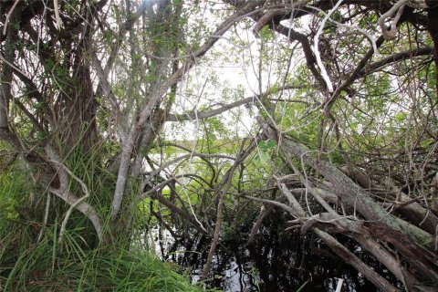 Land in Okeechobee, Florida № 1196824 - photo 16