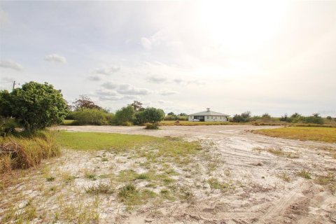 Land in Okeechobee, Florida № 1196824 - photo 4