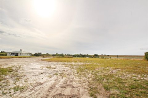 Land in Okeechobee, Florida № 1196824 - photo 3