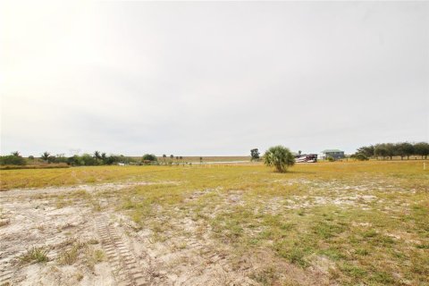 Land in Okeechobee, Florida № 1196824 - photo 5