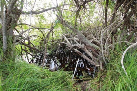 Land in Okeechobee, Florida № 1196824 - photo 15