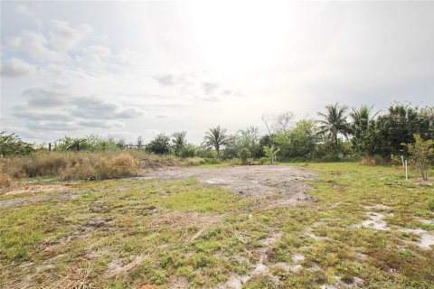 Land in Okeechobee, Florida № 1196824 - photo 12