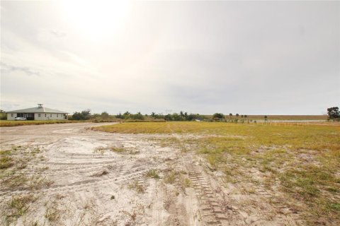 Land in Okeechobee, Florida № 1196824 - photo 6