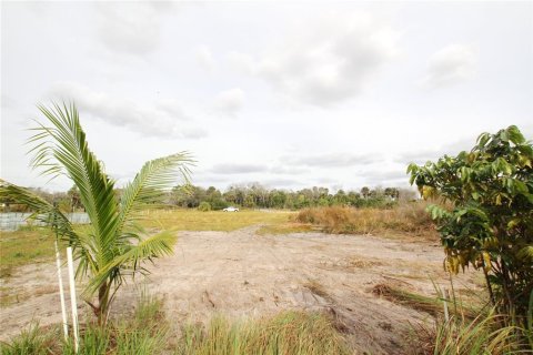 Land in Okeechobee, Florida № 1196824 - photo 13