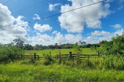 Land in Punta Gorda, Florida № 1382585 - photo 7