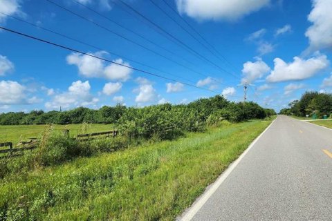 Terrain à vendre à Punta Gorda, Floride № 1382585 - photo 6