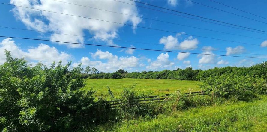 Terreno en Punta Gorda, Florida № 1382585