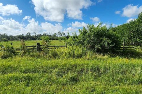 Terrain à vendre à Punta Gorda, Floride № 1382585 - photo 8