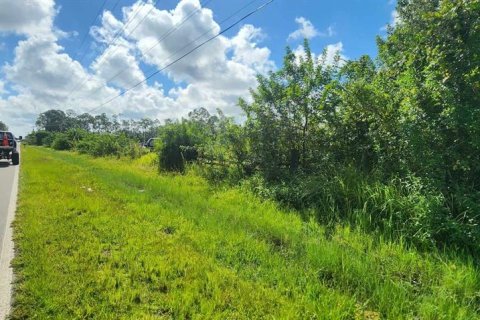 Terreno en venta en Punta Gorda, Florida № 1382585 - foto 11