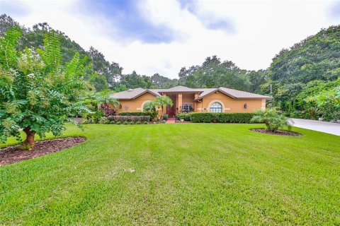 Villa ou maison à vendre à Brandon, Floride: 4 chambres, 243.68 m2 № 1347447 - photo 3