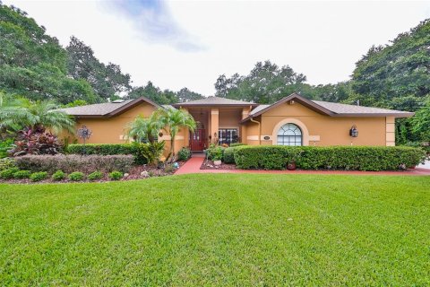 Villa ou maison à vendre à Brandon, Floride: 4 chambres, 243.68 m2 № 1347447 - photo 1