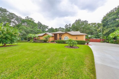 Villa ou maison à vendre à Brandon, Floride: 4 chambres, 243.68 m2 № 1347447 - photo 2