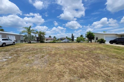 Land in Punta Gorda, Florida № 1149876 - photo 2