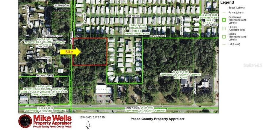 Land in Zephyrhills, Florida № 1163418