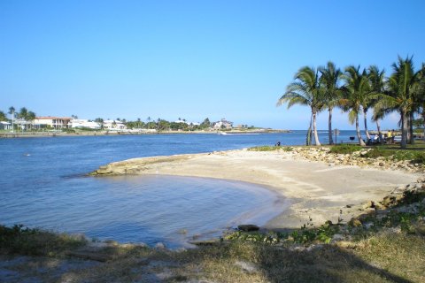 Condo in Jupiter, Florida, 2 bedrooms  № 1186533 - photo 8