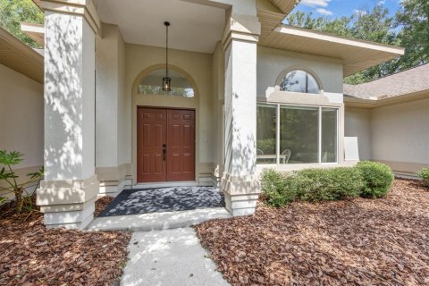 Villa ou maison à vendre à Newberry, Floride: 4 chambres, 223.62 m2 № 1342778 - photo 3