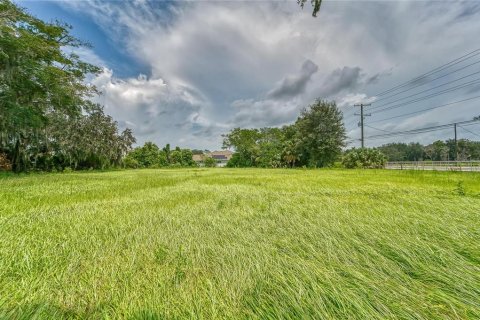 Land in Riverview, Florida № 1313111 - photo 16