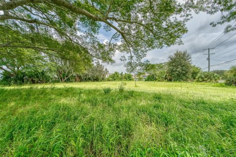 Terrain à vendre à Riverview, Floride № 1313111 - photo 4