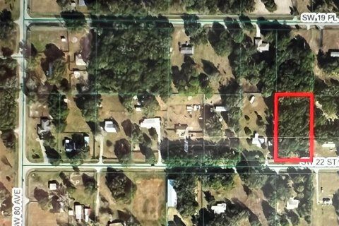 Land in Ocala, Florida № 1415200 - photo 2