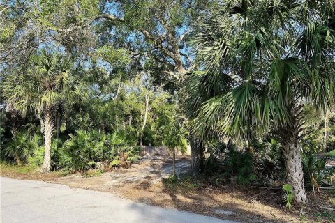 Terrain à vendre à Vero Beach, Floride № 1002805 - photo 18