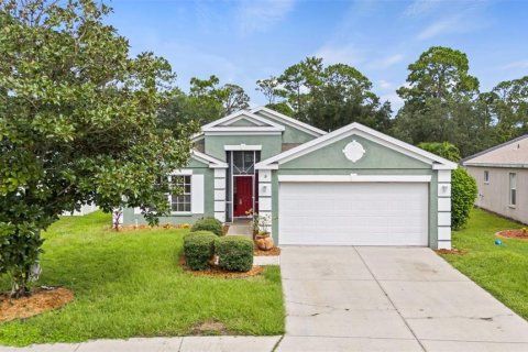 Villa ou maison à vendre à Bradenton, Floride: 4 chambres, 156.54 m2 № 1353371 - photo 1