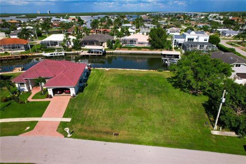 Купить земельный участок в Марко-Айленд, Флорида № 734240 - фото 2
