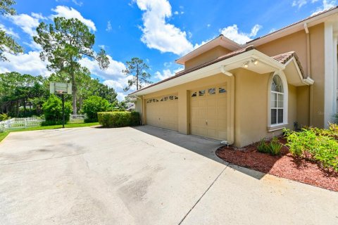 Villa ou maison à vendre à Tampa, Floride: 6 chambres, 487.18 m2 № 1313017 - photo 6