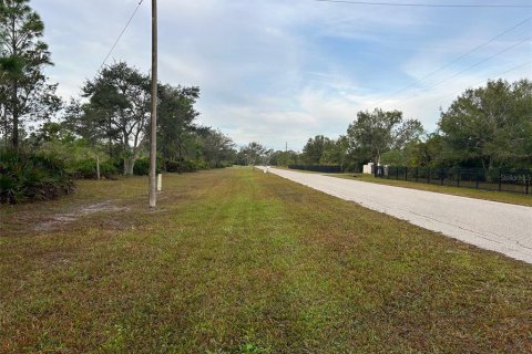 Land in Punta Gorda, Florida № 1276232 - photo 10