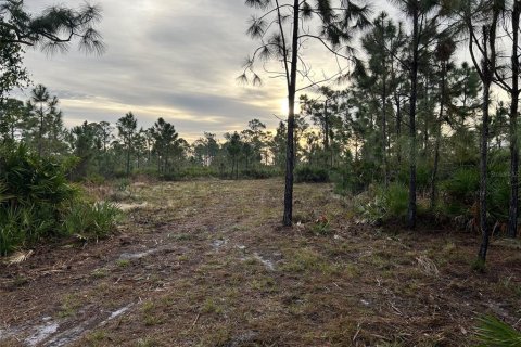 Terreno en venta en Punta Gorda, Florida № 1276232 - foto 12