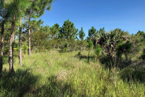 Terrain à vendre à Punta Gorda, Floride № 1276232 - photo 18